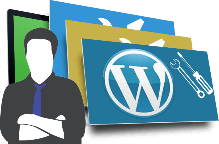 consulente wordpress